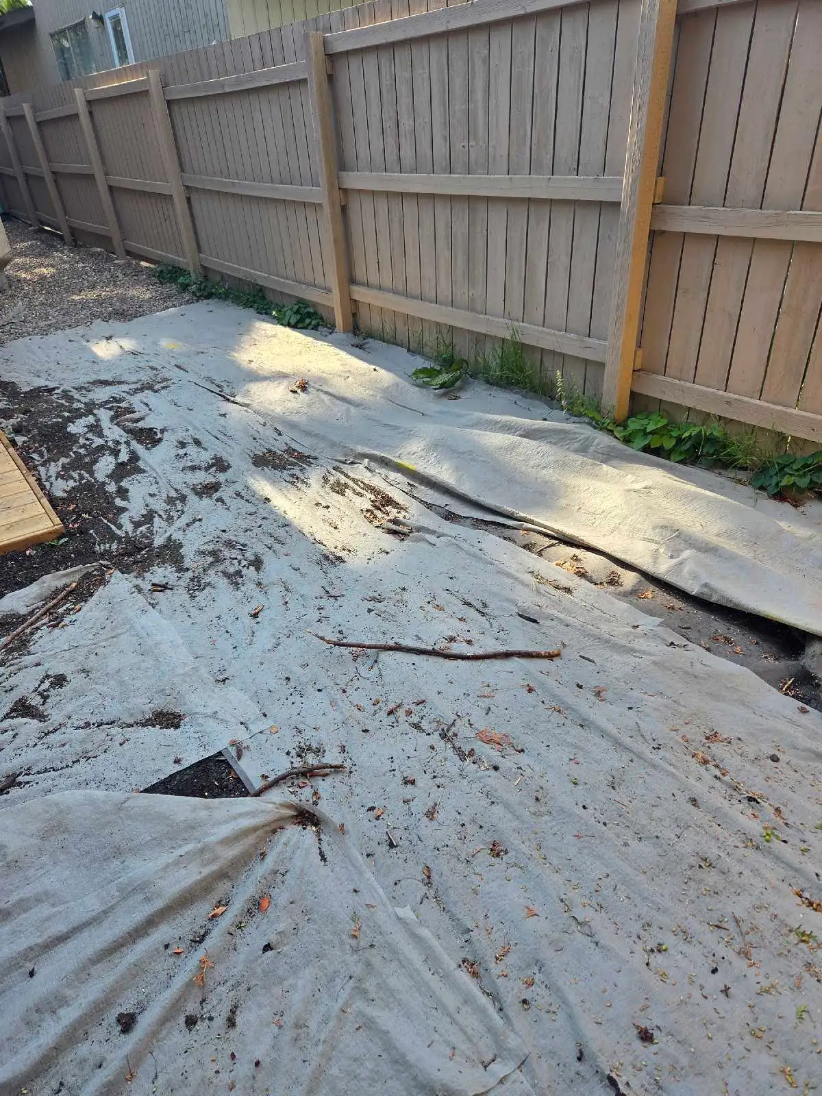 Deck and lawn
